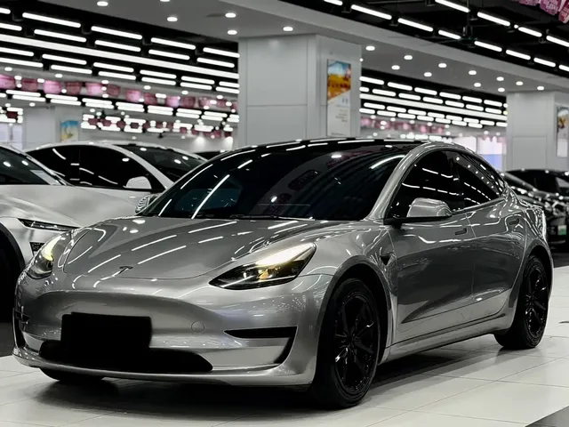 Tesla Model 3 2021 Standard Range Rear-Wheel Drive Upgrade 3D6