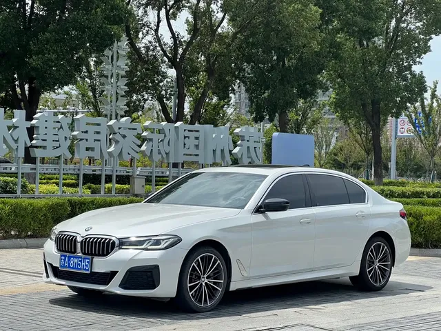 BMW 5 Series 2021 530Li Leading M Sport Package