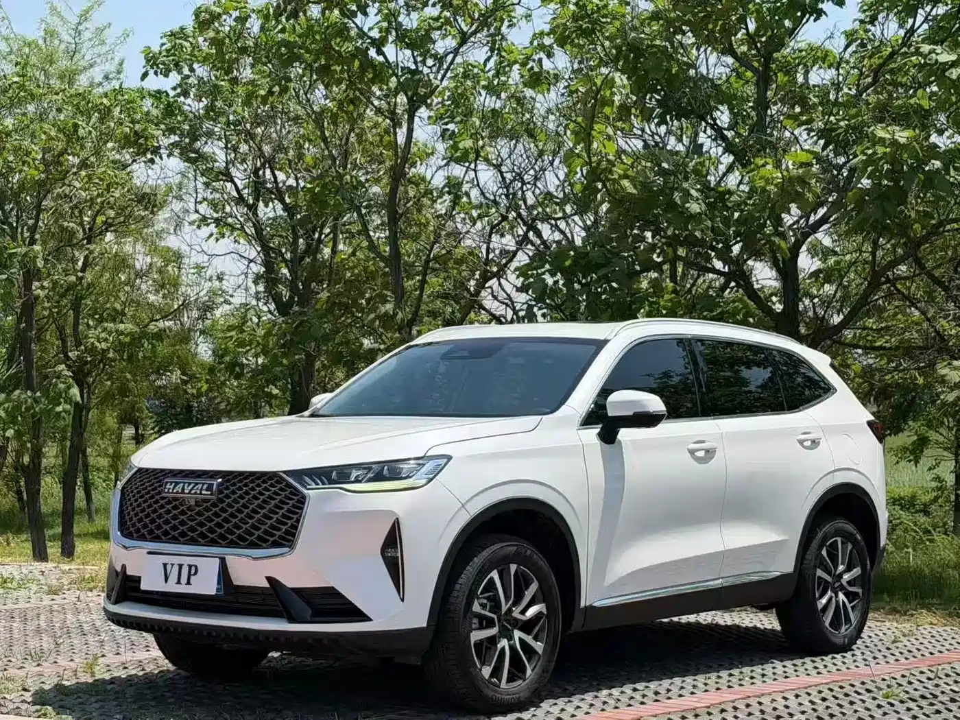 Haval H6 2025 1.5T National Trend Urban Edition