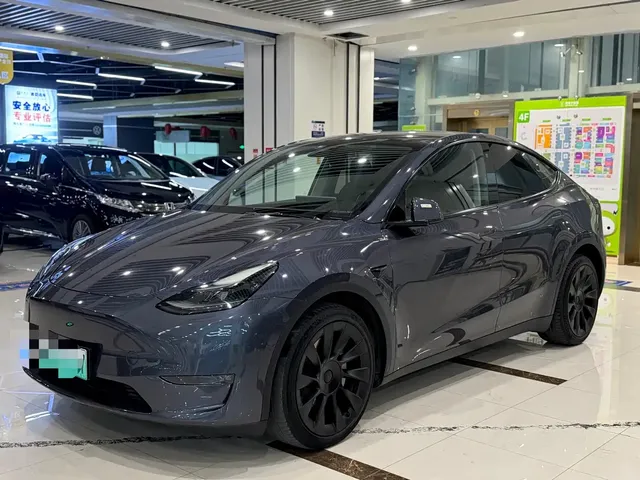 Tesla Model Y 2021 Long Range All-Wheel Drive 3D7
