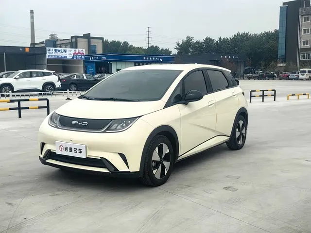 BYD Dolphin 2023 420km Freedom Edition
