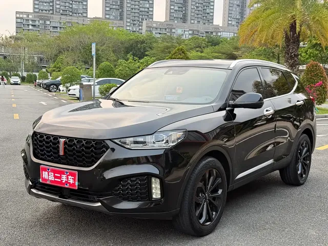 WEY VV6 2018 2.0T 2WD Super Luxury China V