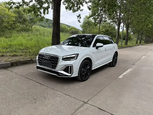 Audi Q2L 2022 35 TFSI Luxury Dynamic