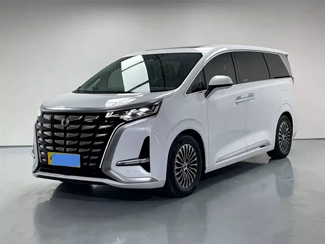 Denza D9 2024 DM-i 980 AWD Flagship