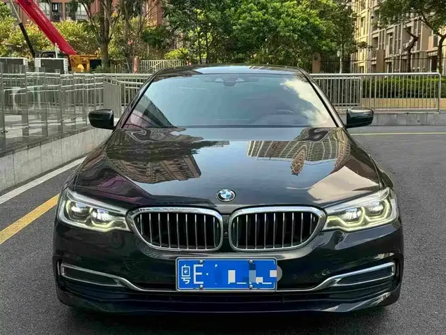 BMW 5 Series 2020 530Li Premium Luxury Package