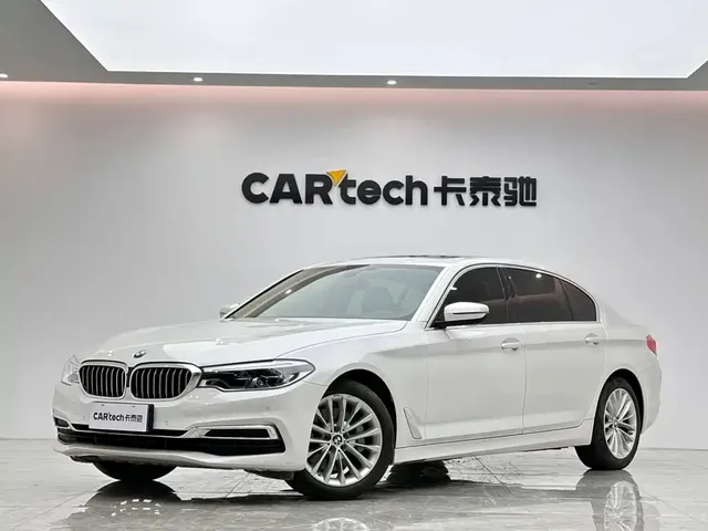 BMW 5 Series 2020 530Li Leading Luxury Package