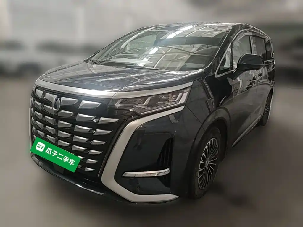 Denza D9 2022 DM-i 970 AWD Flagship
