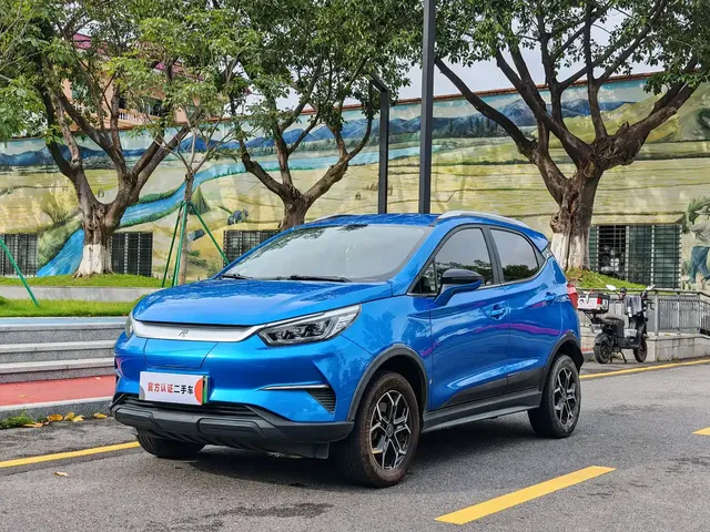 BYD Yuan Pro 2021 401KM Luxury Model