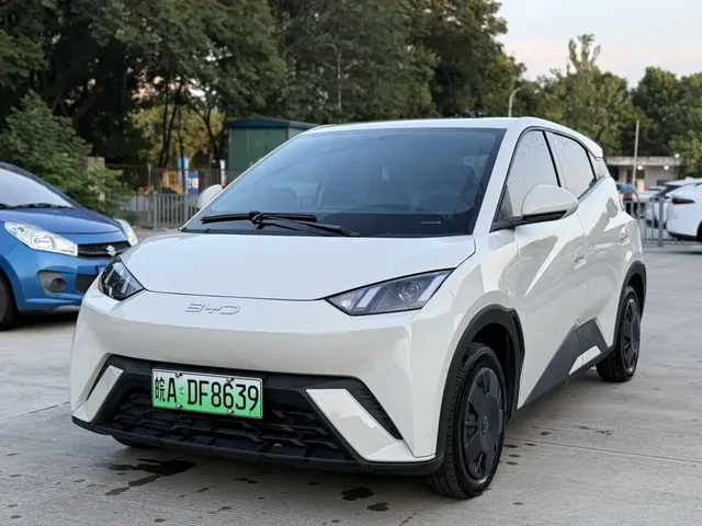 BYD Seagull 2024 Glory Edition 305km Vitality Edition