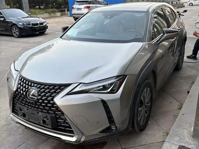 Lexus UX Electric 2020 300e Pure Yue Edition