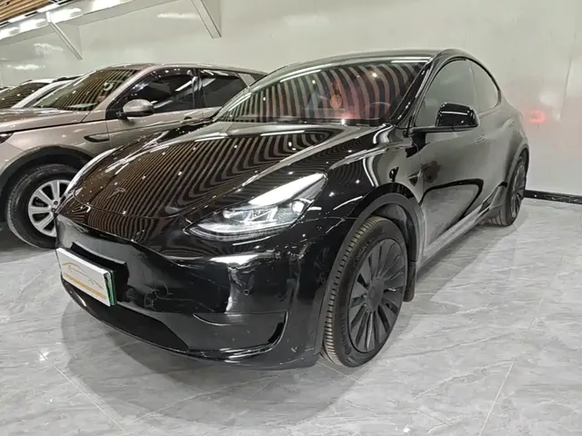 Tesla Model Y 2022 Rear-Wheel Drive Version