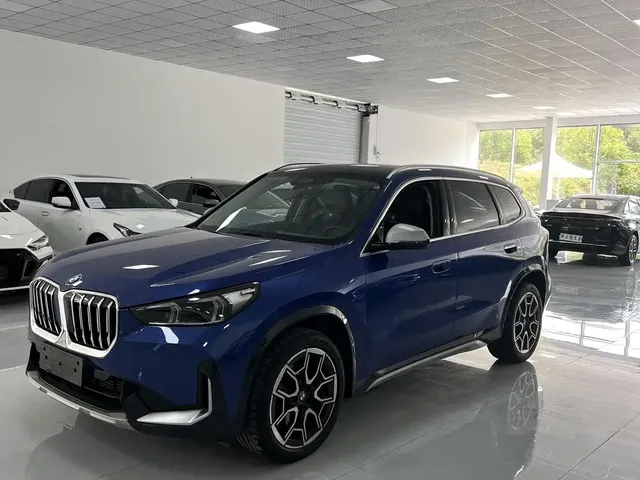 BMW X1 2023 xDrive25Li X Design Package