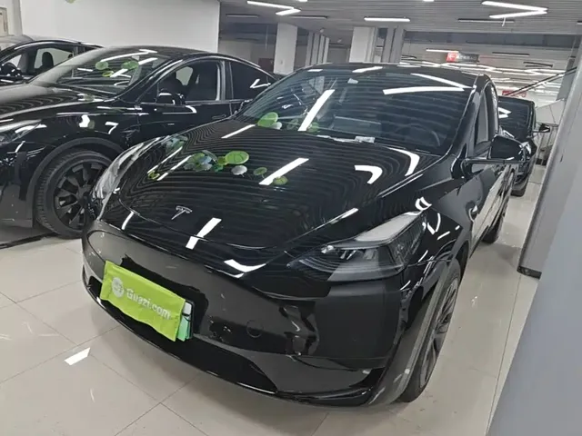 Tesla Model Y 2023 Rear-Wheel Drive Edition