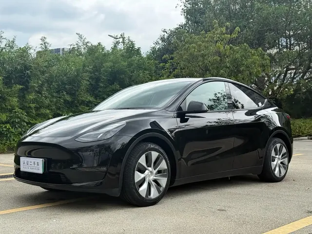 Tesla Model Y 2021 Standard Range Rear-Wheel Drive