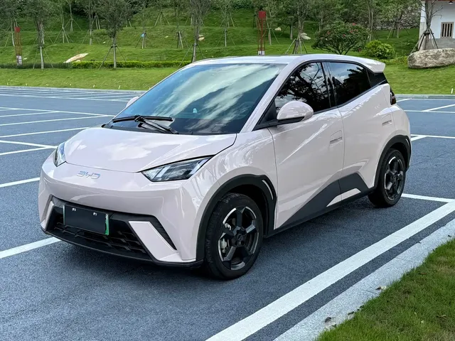 BYD Seagull 2024 Glory Edition 305km Freedom Edition