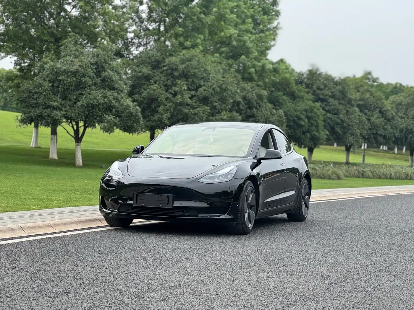 Tesla Model 3 2021 Facelift Standard Range RWD Upgrade 3D1