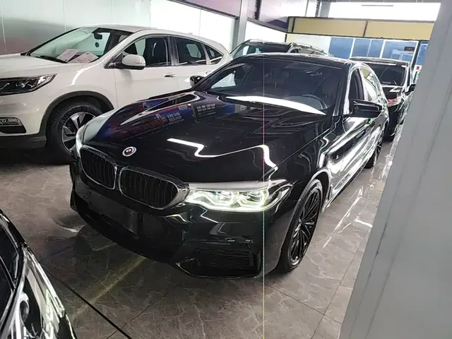 BMW 5 Series 2020 530Li Exclusive M Sport Package