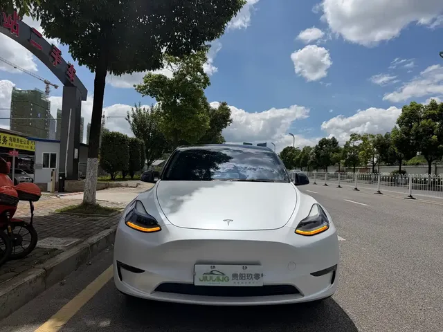 Tesla Model Y 2021 Standard Range Rear-Wheel Drive