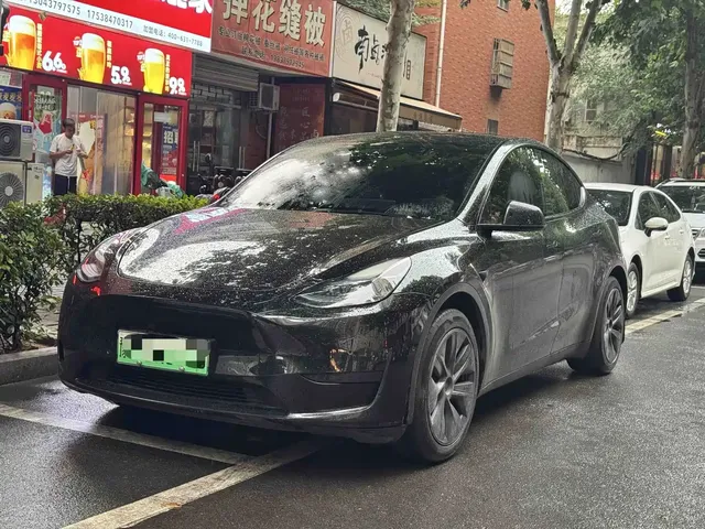 Tesla Model Y 2022 Rear-Wheel Drive Version