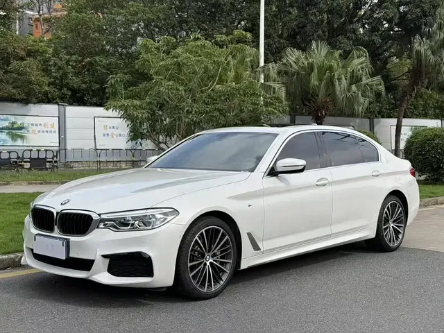BMW 5 Series 2020 530Li Leading M Sport Package