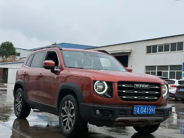Haval Big Dog 2021 1.5T DCT 2WD Border Collie Edition