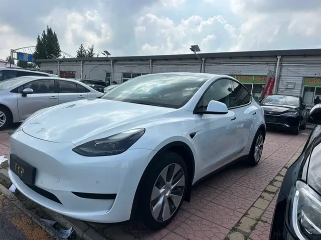 Tesla Model Y 2022 Rear-Wheel Drive Version