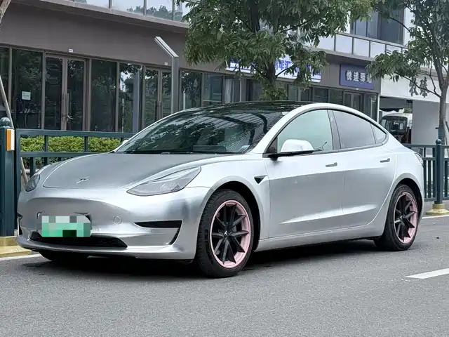 Tesla Model 3 2022 Model Rear-Wheel Drive Version