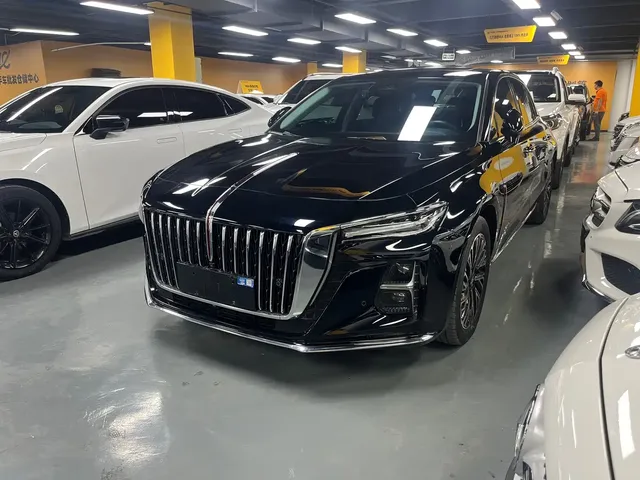 Hongqi H5 2024 2.0T Automatic Smart Connect Flag Smooth Edition