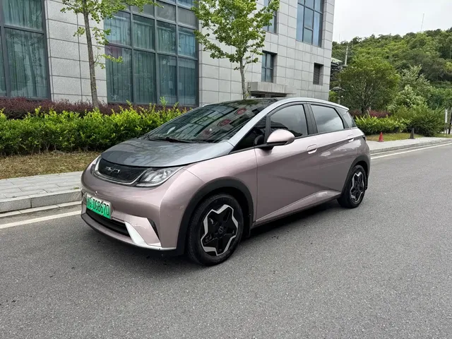 BYD Dolphin 2021 Model 405km Fashion Edition