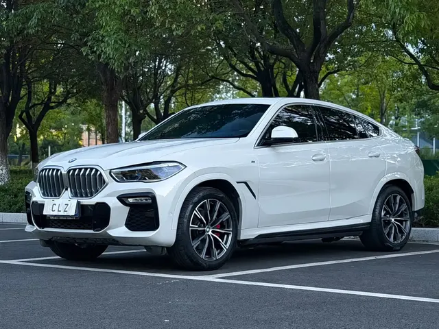 BMW X6 2020 xDrive40i M Sport Package