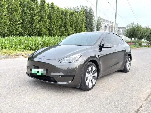 Tesla Model Y 2022 Rear-Wheel Drive Version