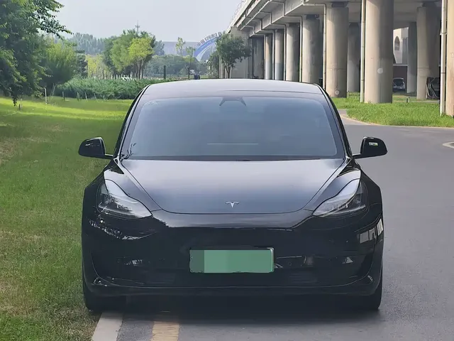 Tesla Model 3 2020 Facelift Standard Range RWD Upgrade