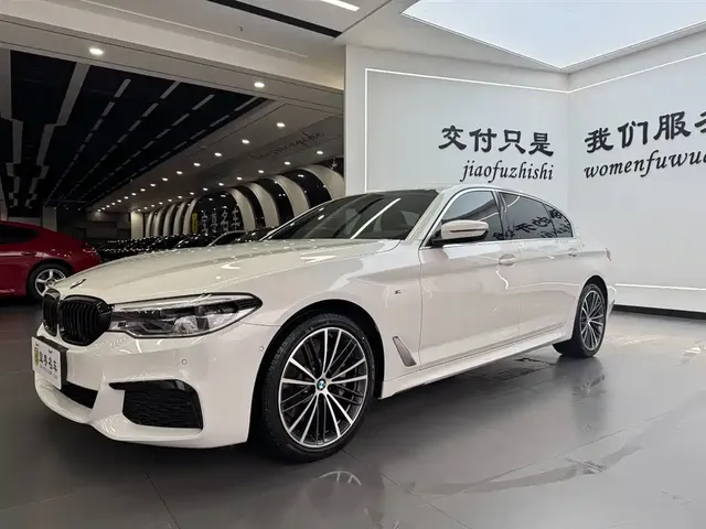 BMW 5 Series 2020 530Li Leading M Sport Package