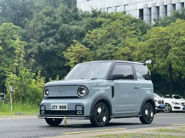 Geely Galaxy Panda 2025 Model Year 210km Panda Kart