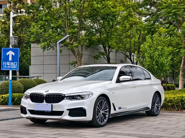 BMW 5 Series 2020 530Li Exclusive M Sport Package