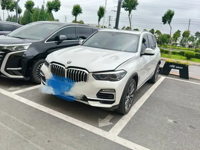 BMW X5 (Import) 2020 xDrive30i X Design Package
