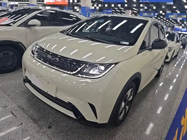 BYD Dolphin 2024 Glory Edition 420km Freedom Edition
