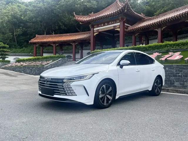 BYD Destroyer 05 2023 Champion Edition DM-i 55KM Premium