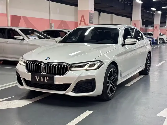 BMW 5 Series 2021 530Li Leading M Sport Package
