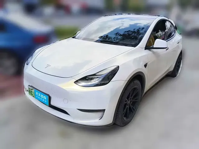 Tesla Model Y 2021 Standard Range Rear-Wheel Drive