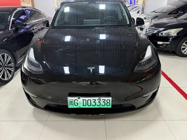 Tesla Model Y 2021 Standard Range Rear-Wheel Drive