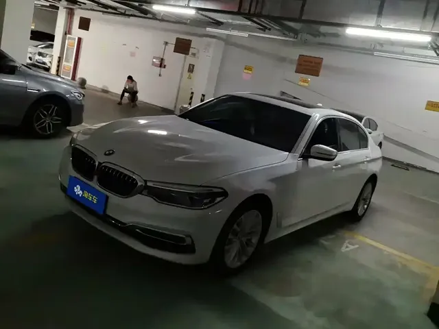 BMW 5 Series 2020 530Li Leading M Sport Package