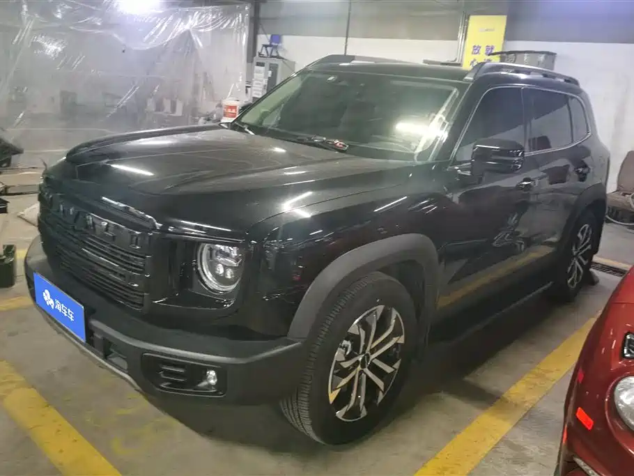Haval Big Dog 2024 1.5T DCT Border Collie Edition