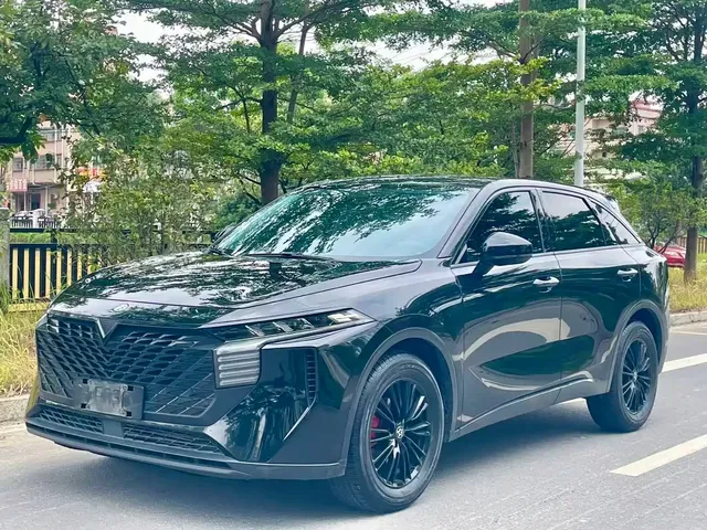 Venucia Big V 2022 260T Dark Horse Edition·Idol