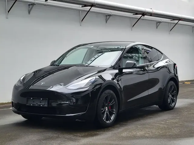 Tesla Model Y 2022 Rear-Wheel Drive Version