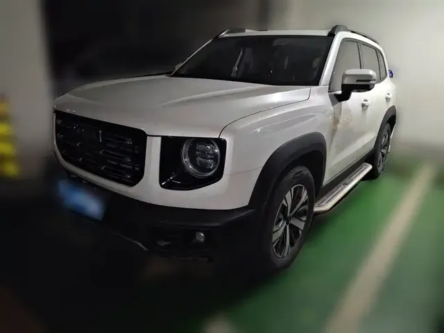 Haval Big Dog 2021 1.5T DCT 2WD Labrador Edition