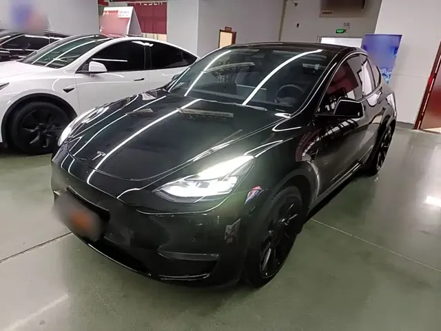 Tesla Model Y 2021 Standard Range Rear-Wheel Drive