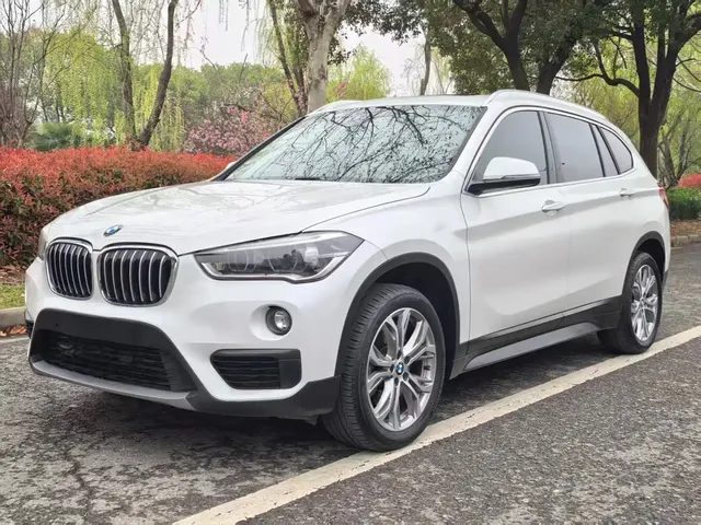 BMW X1 2018 sDrive20Li Leading Model