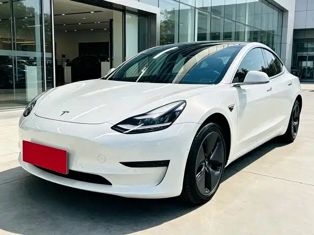 Tesla Model 3 (Import) 2019 Long Range RWD Version