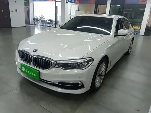 BMW 5 Series 2020 530Li Leading Luxury Package